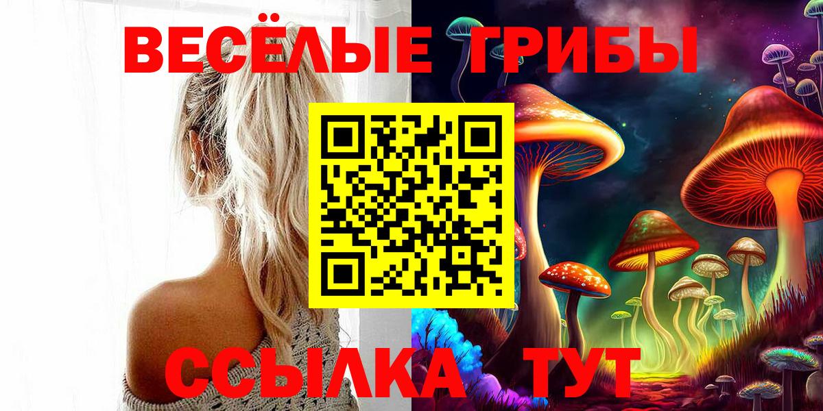Королёв  Галлюциногенные грибы Psilocybine cubensis  Вход с VPN  Галлюциногенные грибы мицелий 